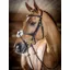 LeMieux Grackle Bridle - Havana